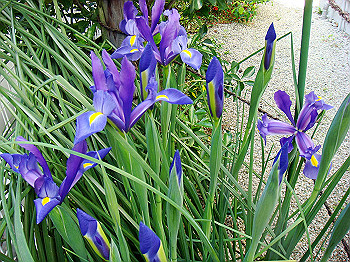 dsc02171_thumb.jpg