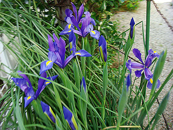 dsc02172_thumb.jpg