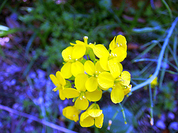 dsc02178_thumb.jpg
