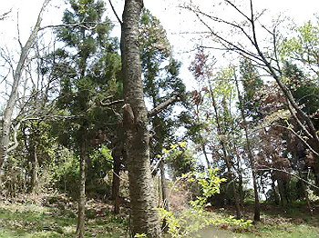 mov02100.mpg_snapshot_thumb.jpg