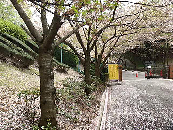 mov02109.mpg_snapshot_thumb.jpg