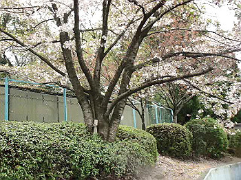 mov02111.mpg_snapshot_thumb.jpg