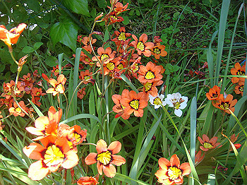 dsc02300_thumb.jpg