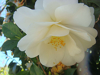 dsc02301_thumb.jpg