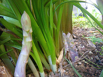 dsc02308_thumb.jpg
