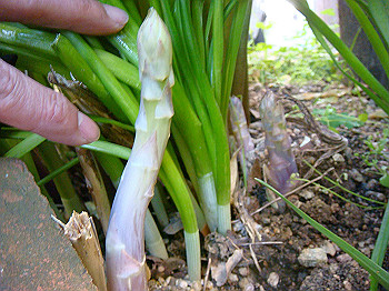 dsc02309_thumb.jpg