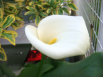 dsc02310_thumb.jpg