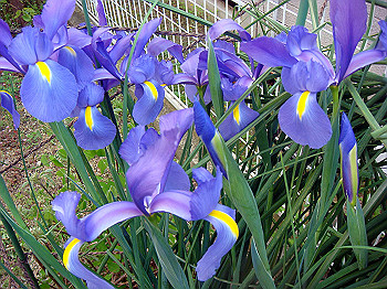 dsc02316_thumb.jpg