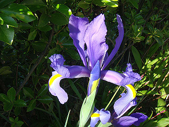 dsc02317_thumb.jpg