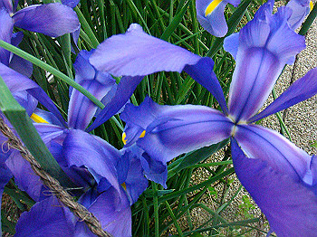dsc02320_thumb.jpg