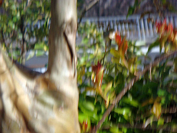dsc02328_thumb.jpg