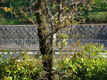 dsc02331_thumb.jpg