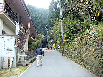 dsc02335_thumb.jpg