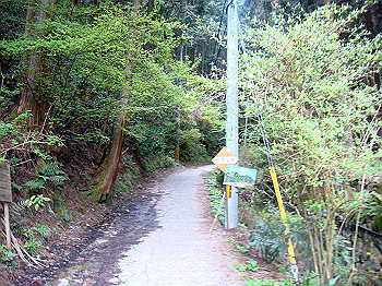dsc02338_thumb.jpg