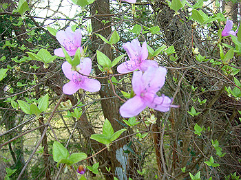 dsc02348_thumb.jpg