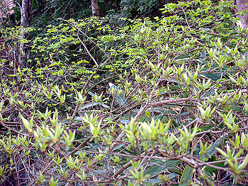 dsc02351_thumb.jpg