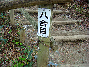 dsc02353_thumb.jpg