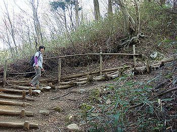 dsc02354_thumb.jpg