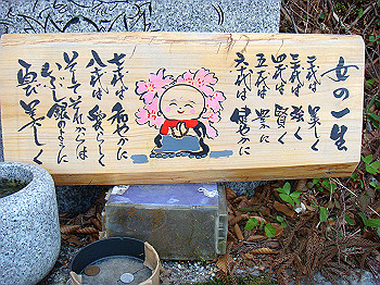 dsc02356_thumb.jpg
