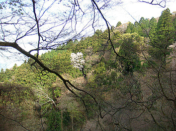 dsc02357_thumb.jpg