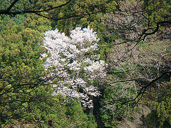 dsc02358_thumb.jpg