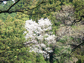 dsc02359_thumb.jpg