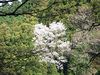 dsc02360_thumb.jpg