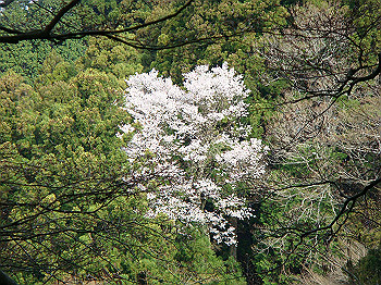 dsc02361_thumb.jpg
