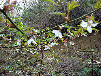 dsc02364_thumb.jpg