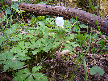 dsc02365_thumb.jpg