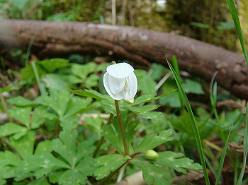 dsc02366_thumb.jpg