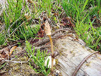 dsc02379_thumb.jpg