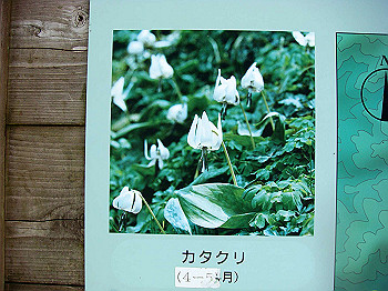 dsc02392_thumb.jpg