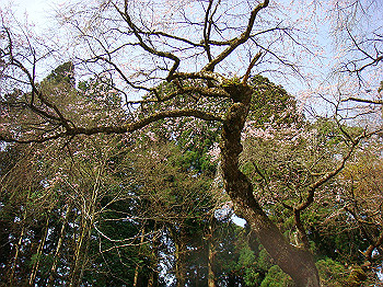 dsc02398_thumb.jpg