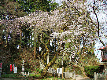 dsc02401_thumb.jpg