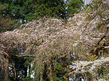 dsc02402_thumb.jpg