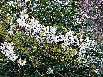 dsc02403_thumb.jpg