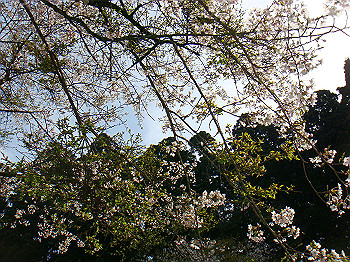 dsc02411_thumb.jpg