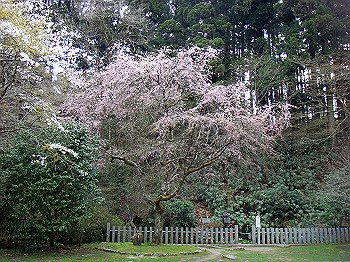 dsc02413_thumb.jpg