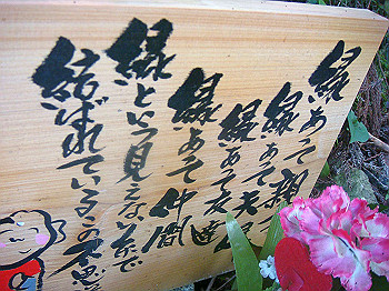 dsc02431_thumb.jpg