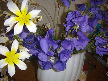 dsc02432_thumb.jpg