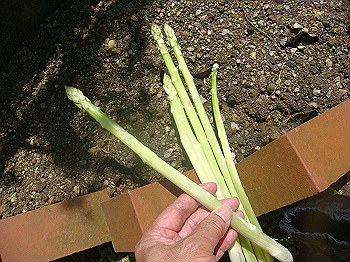 dsc02441_thumb.jpg