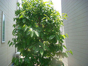 dsc02459_thumb.jpg