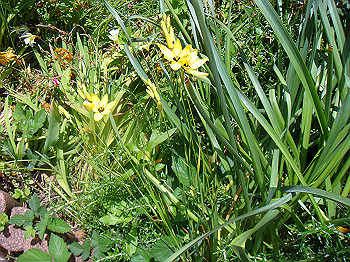 dsc02465_thumb.jpg