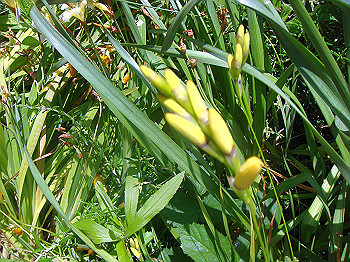 dsc02466_thumb.jpg