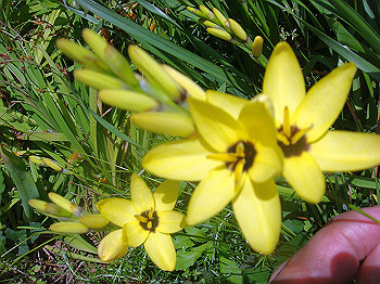 dsc02467_thumb.jpg