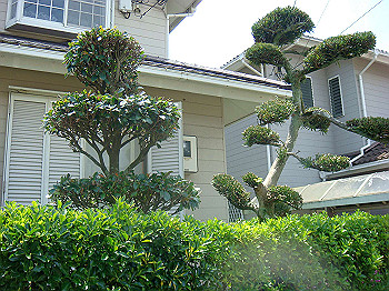 dsc02474_thumb.jpg