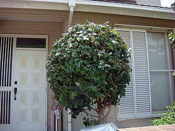 dsc02475_thumb.jpg