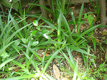 dsc02487_thumb.jpg