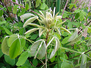 dsc02497_thumb.jpg
